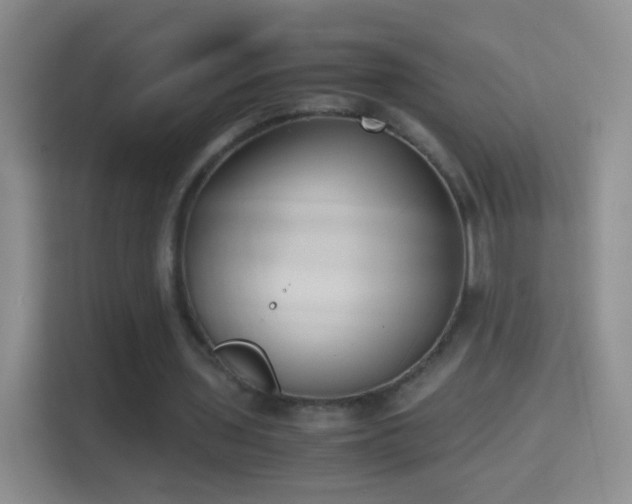 X0000114410435200910231135