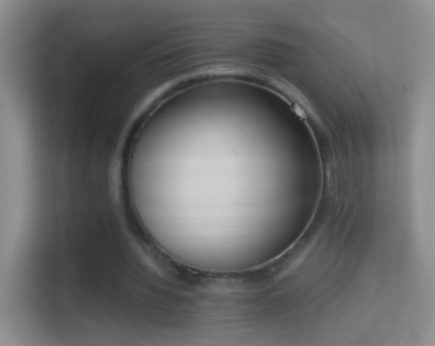 X0000114410436200910231135