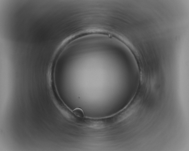 X0000114410438200910231135