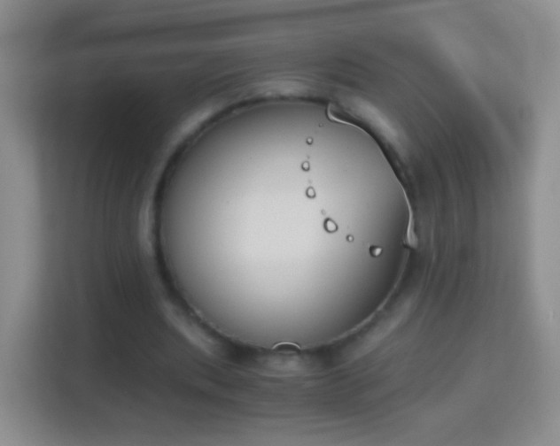 X0000114410439200910231135