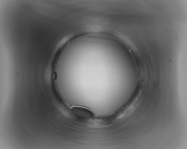 X0000114410440200910231135