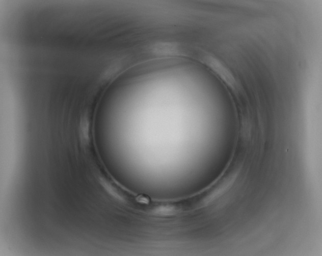 X0000114410441200910231135