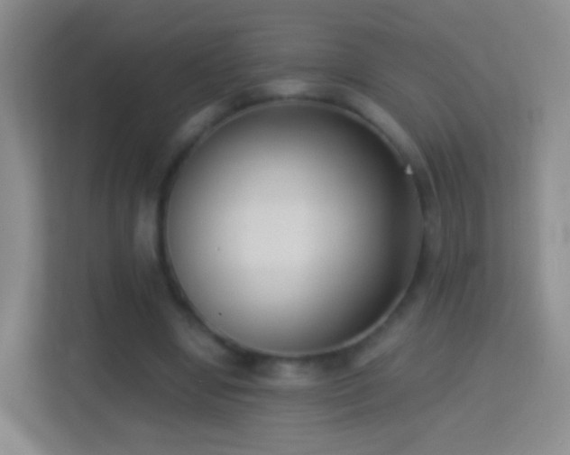X0000114410442200910231135