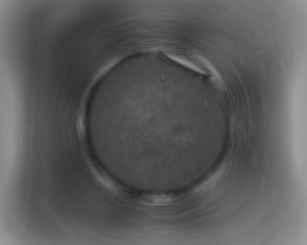 X0000114410443200910231135