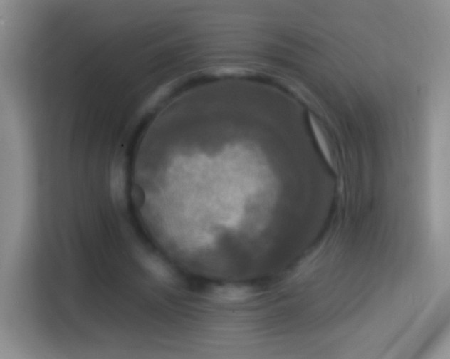 X0000114410444200910231135