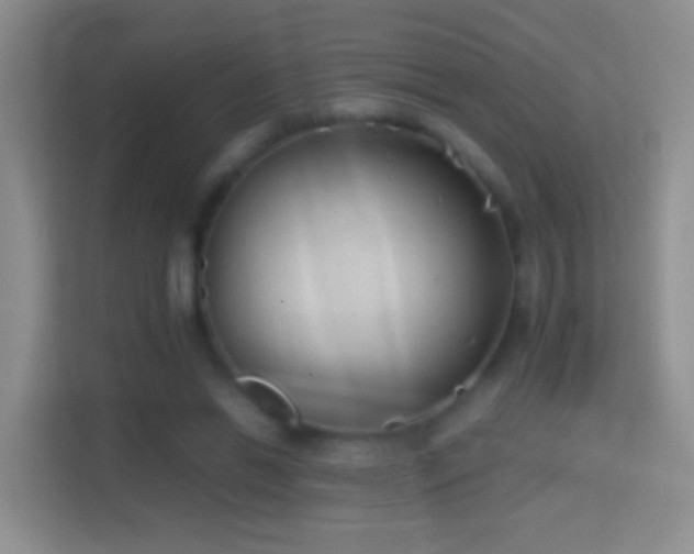 X0000114410446200910231135