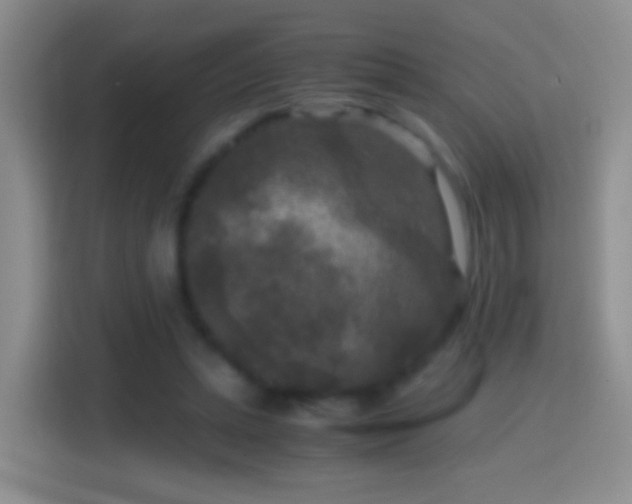 X0000114410447200910231135