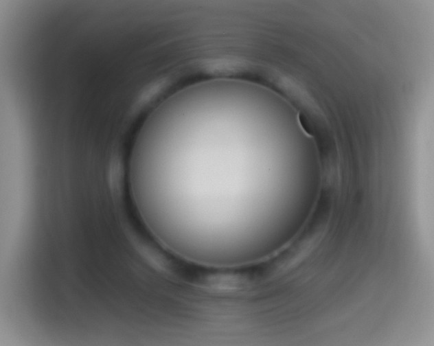 X0000114410448200910231135