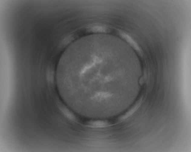 X0000114410449200910231135