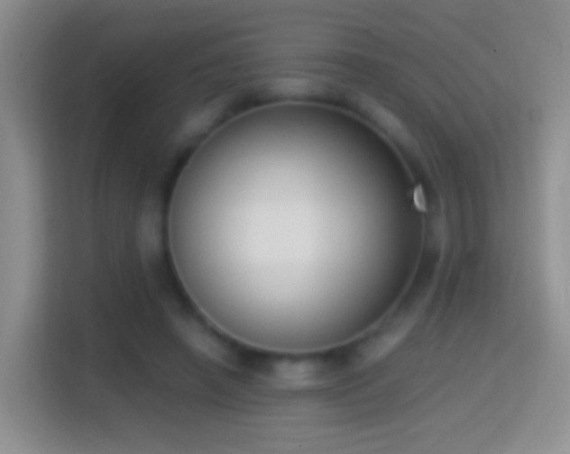 X0000114410450200910231135