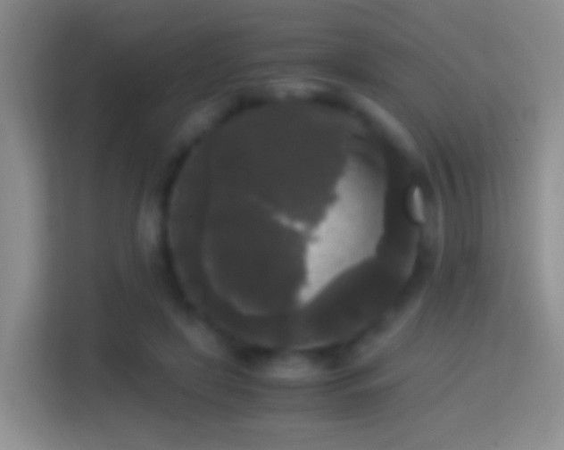 X0000114410451200910231135