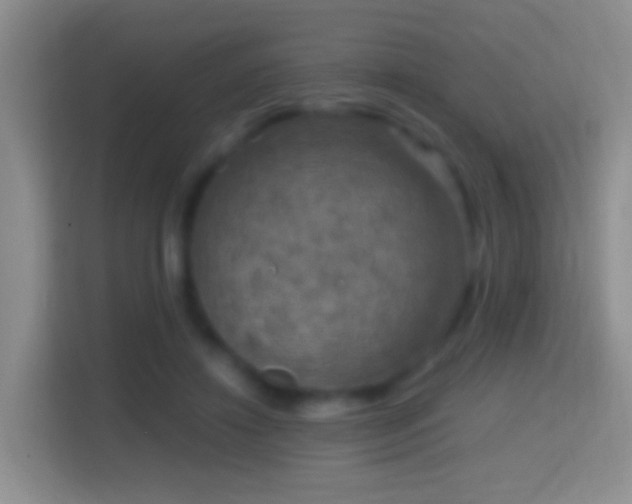 X0000114410452200910231135