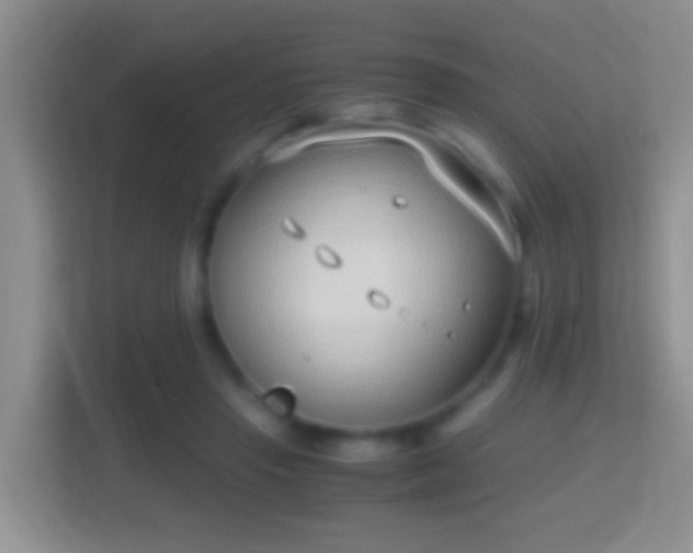 X0000114410453200910231135