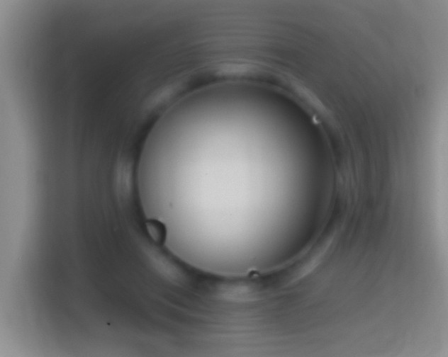 X0000114410454200910231135