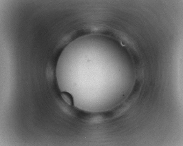 X0000114410456200910231135