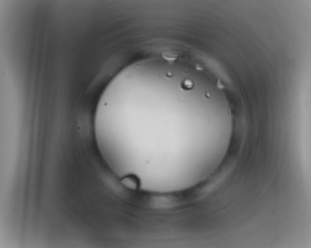 X0000114410457200910231135
