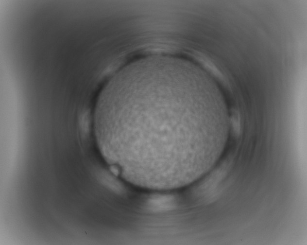 X0000114410458200910231135