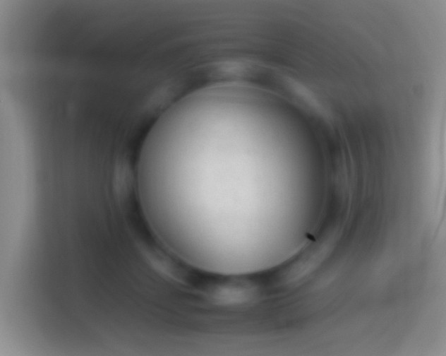 X0000114410459200910231135