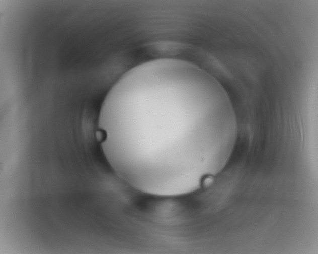 X0000114410460200910231135