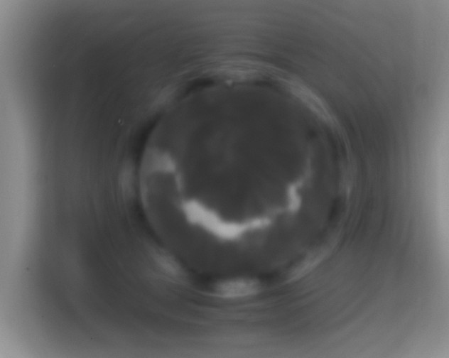 X0000114410465200910231136