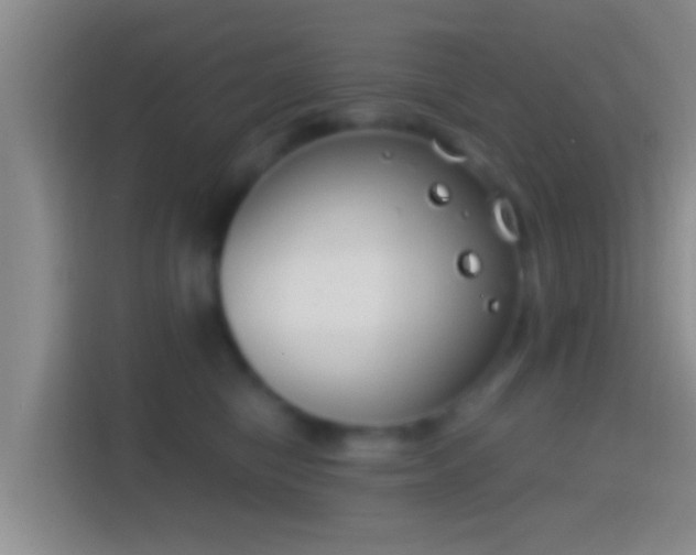 X0000114410470200910231136