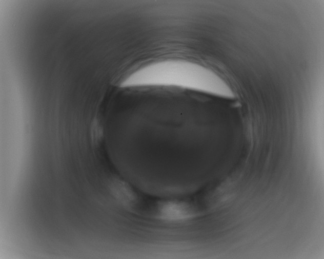 X0000114410471200910231136