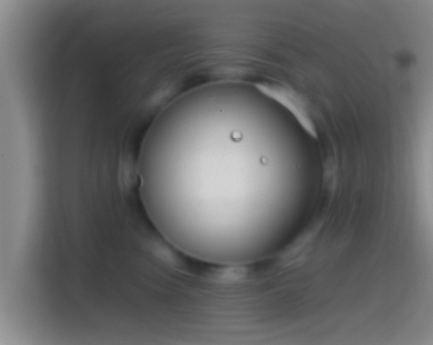 X0000114410474200910231136