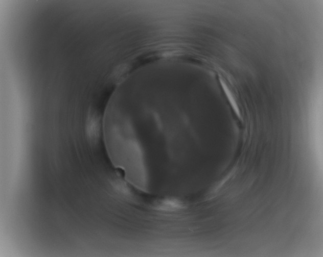 X0000114410475200910231136