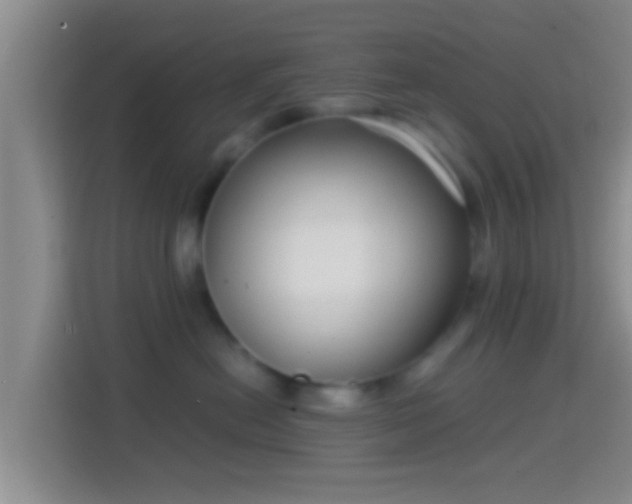 X0000114410478200910231136
