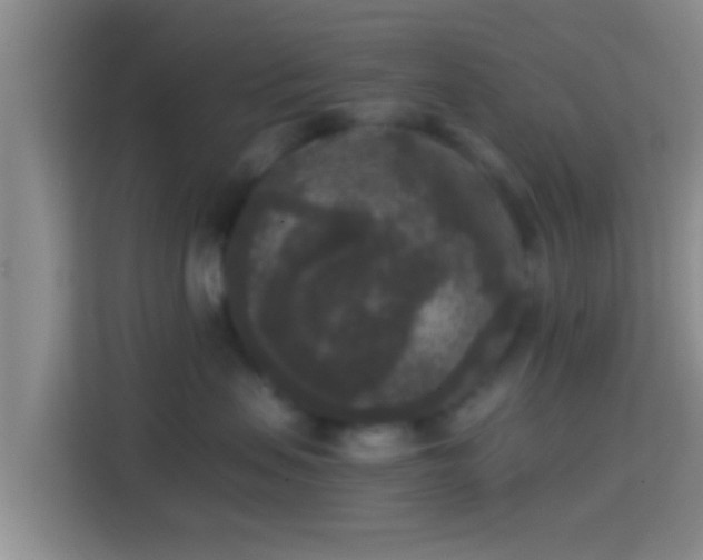 X0000114410479200910231136