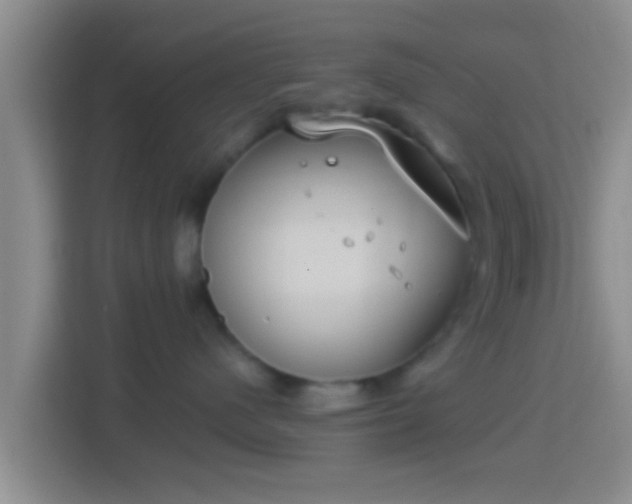 X0000114410480200910231136