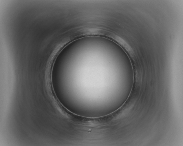 X0000114410481200910231135