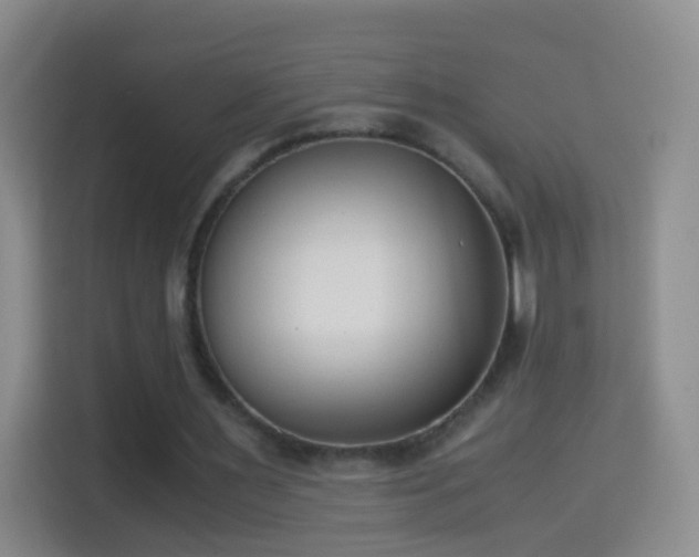 X0000114410483200910231135