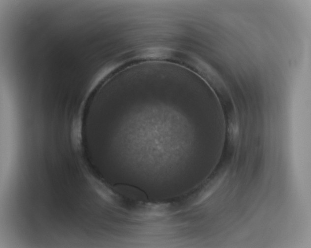 X0000114410484200910231135