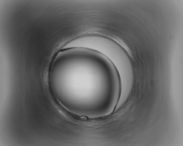 X0000114410485200910231135