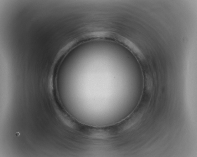 X0000114410486200910231135