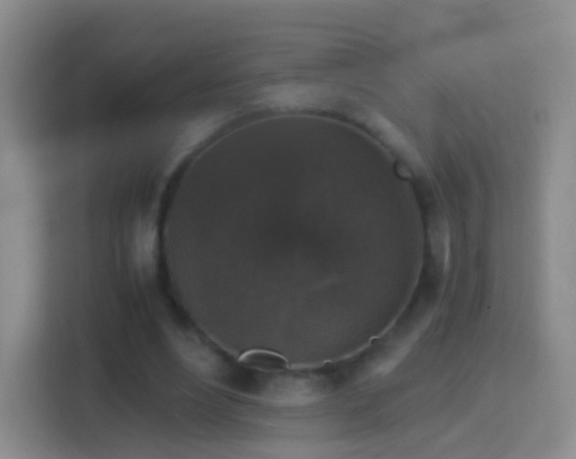 X0000114410488200910231135