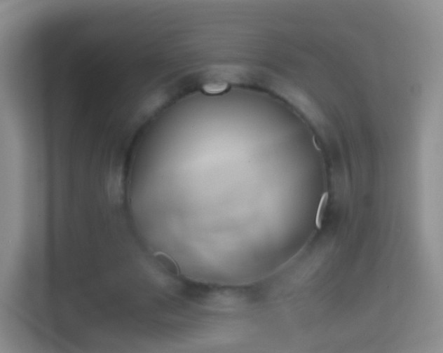X0000114410489200910231135