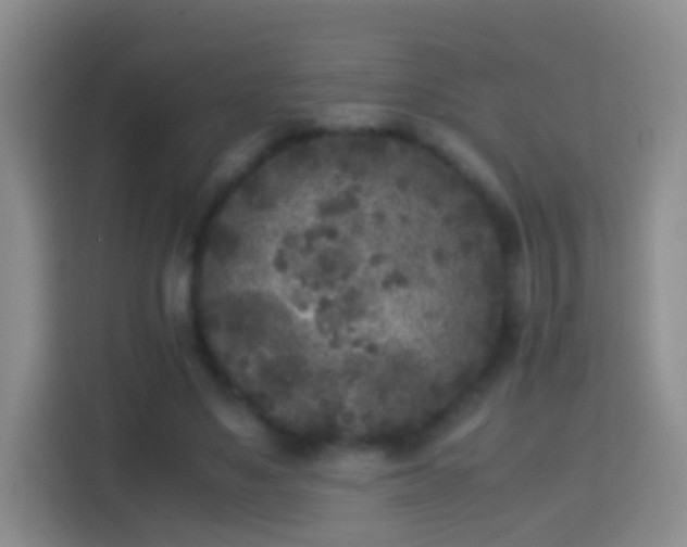 X0000114410491200910231135