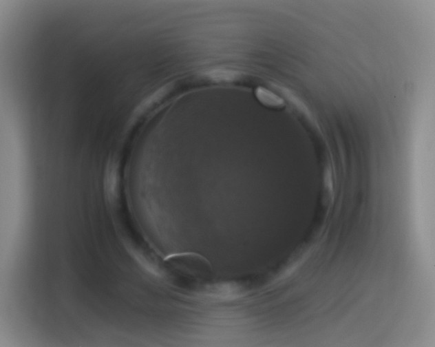 X0000114410492200910231135