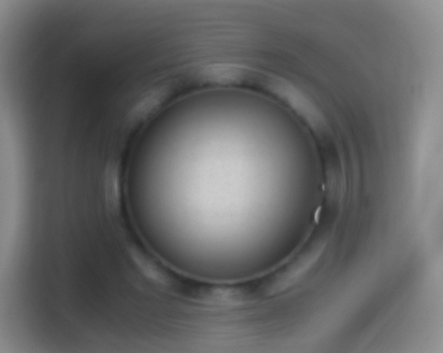 X0000114410493200910231135