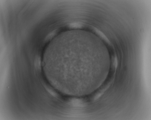 X0000114410494200910231135
