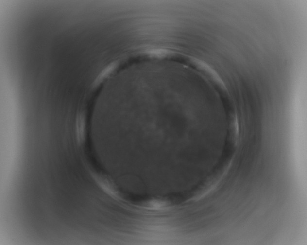 X0000114410496200910231135