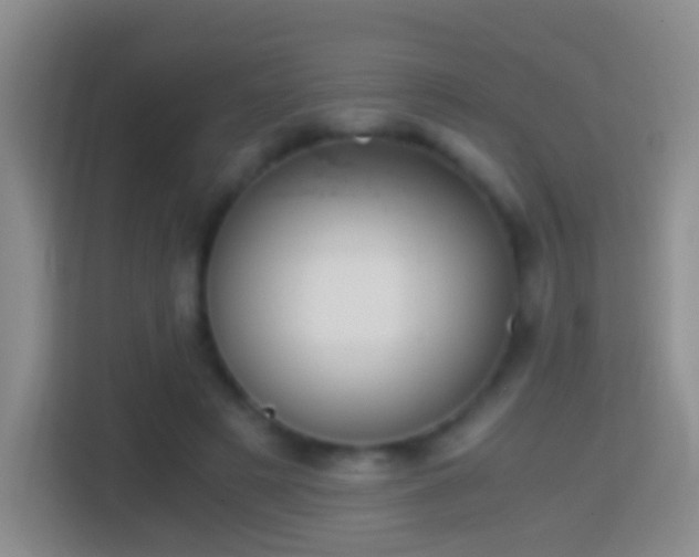 X0000114410497200910231135