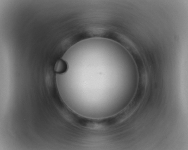 X0000114410498200910231135