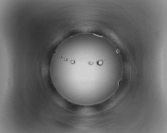 X0000114410499200910231135