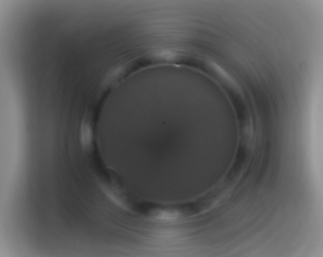 X0000114410500200910231135