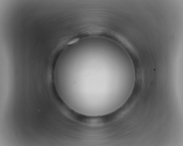 X0000114410501200910231135