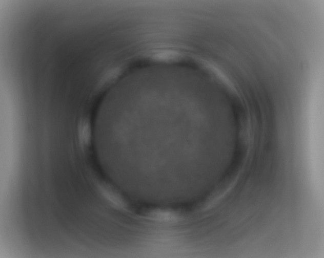 X0000114410502200910231135