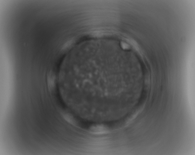 X0000114410503200910231135